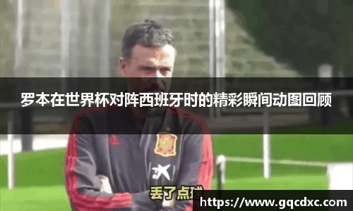 罗本在世界杯对阵西班牙时的精彩瞬间动图回顾
